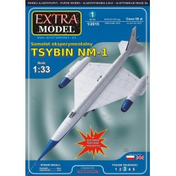 Tsybin NM-1